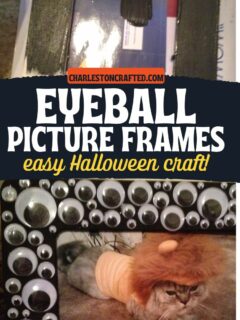 DIY eyeball picture frames