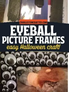 DIY eyeball picture frames