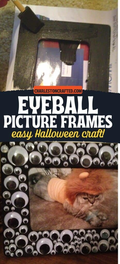 DIY eyeball picture frames