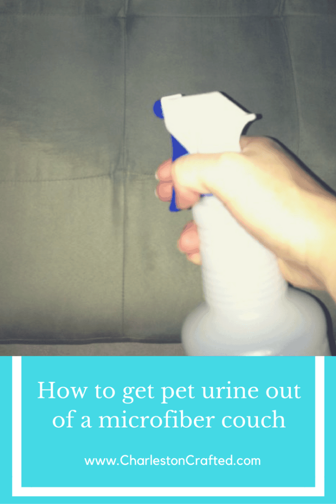 How to get Pet Urine Odor out of a Microfiber Couch - Charleston Crafted