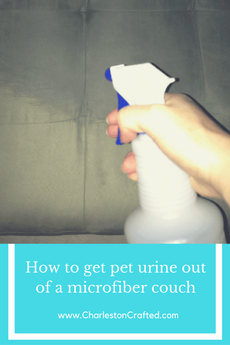 Getting Pet Urine Odor out of a Microfiber Couch - Charleston Crafted