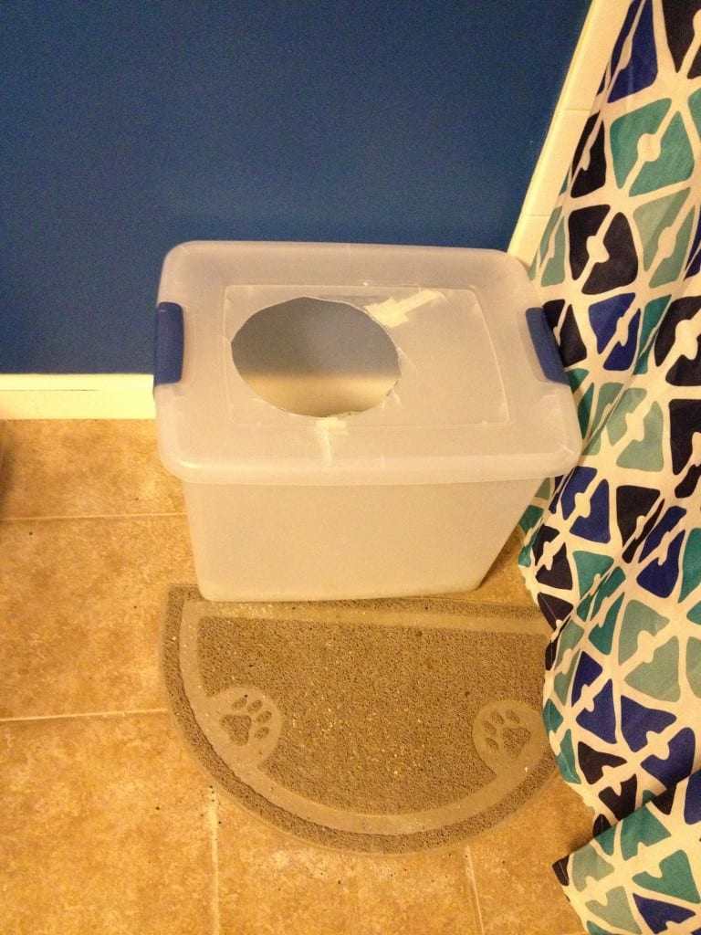 DIY Top Entry Litter Box - Charleston Crafted