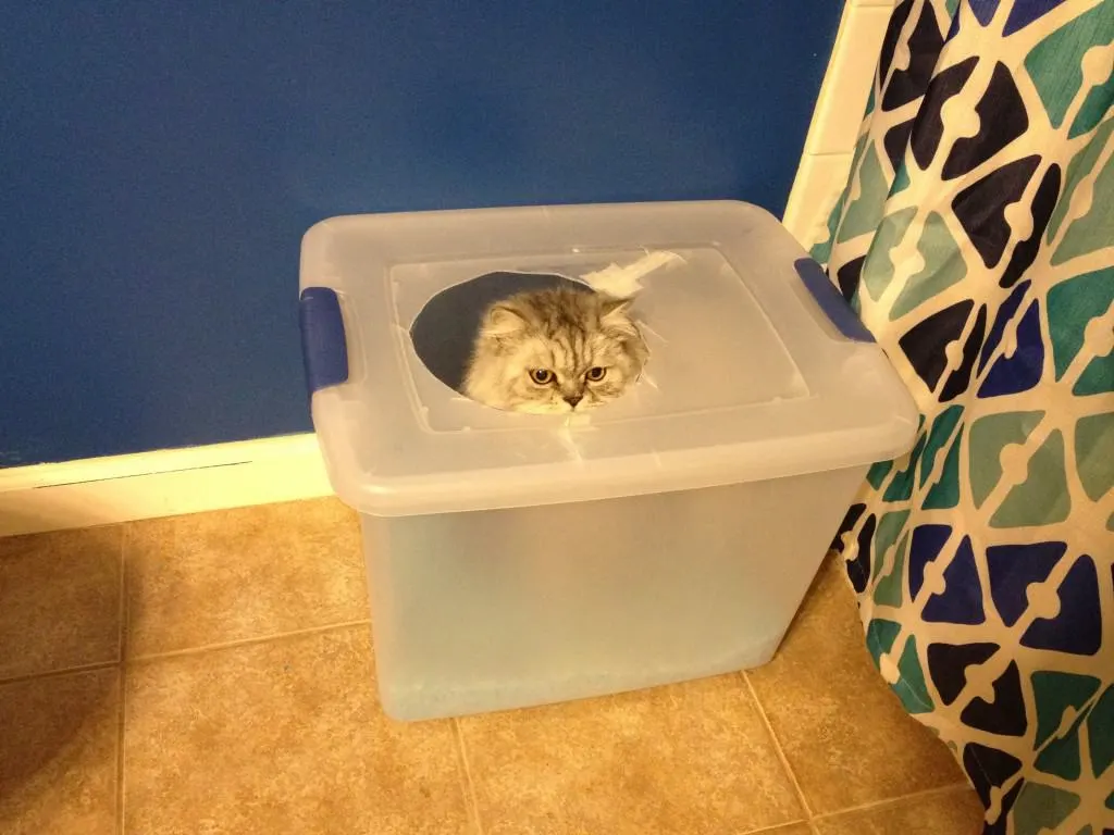 DIY Cat Litter box - Charleston Crafted