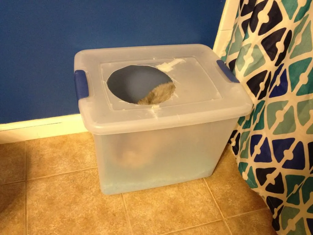 DIY Cat Litter box - Charleston Crafted