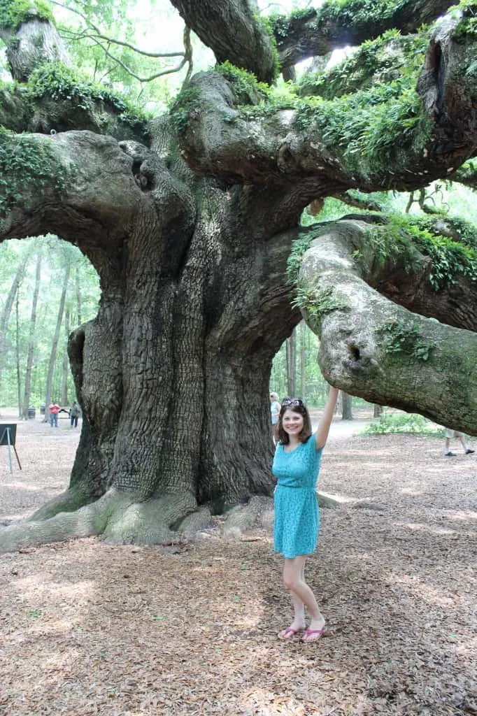 Angel Oak Tree, Charleston SC- Charleston Crafted