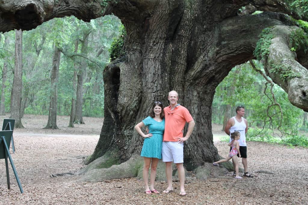 Angel Oak Tree, Charleston SC- Charleston Crafted