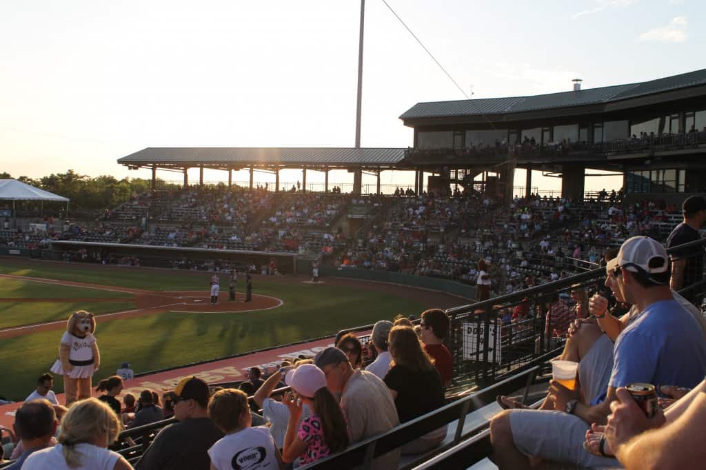 Charleston Riverdogs Baseball - Charleston Crafted