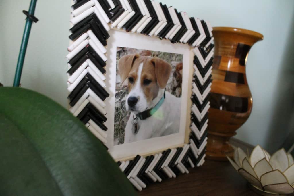 DIY Frame from Magazine Strips! Charleston Crafted