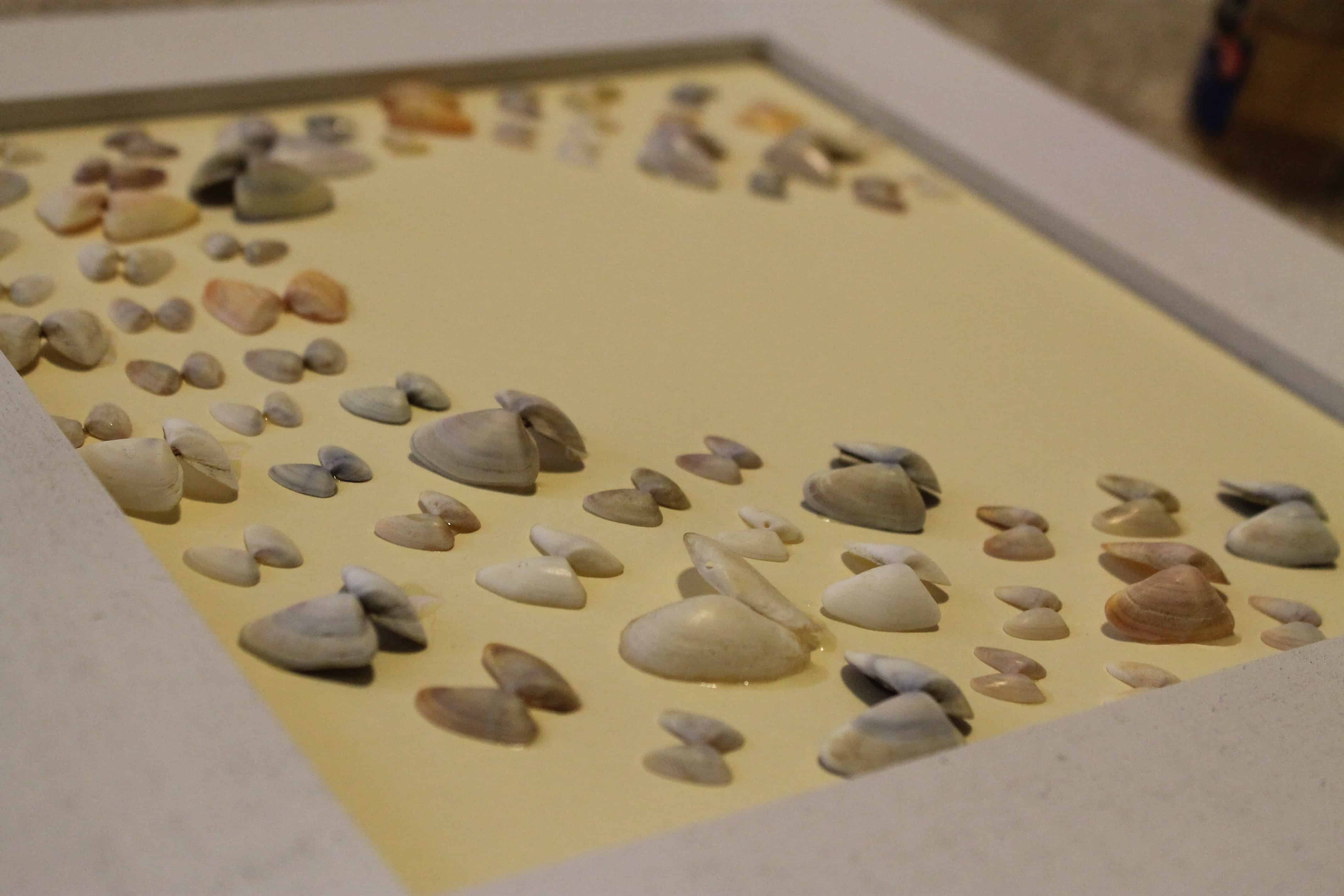 How to Frame Sea Shells - Charleston Crafted