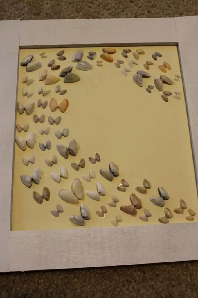 How to Frame Sea Shells - Charleston Crafted