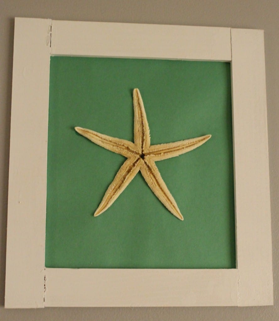 Frame a Starfish - Charleston Crafted