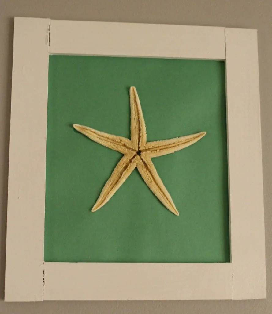 Frame a Starfish - Charleston Crafted