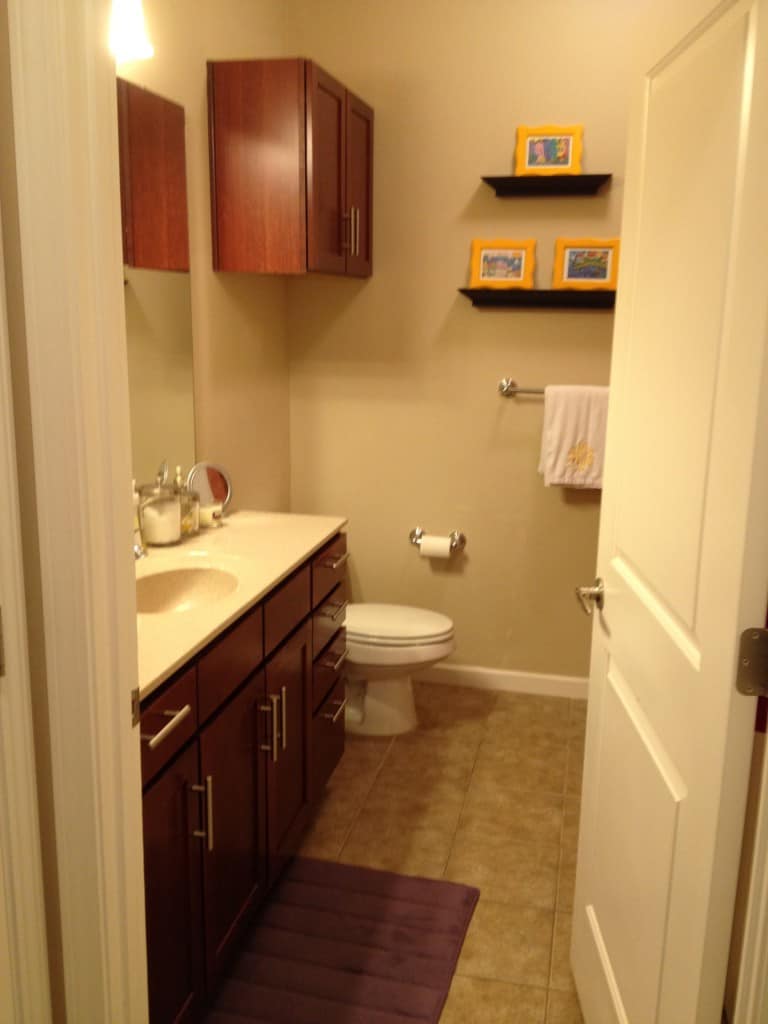 Guest Bathroom Before