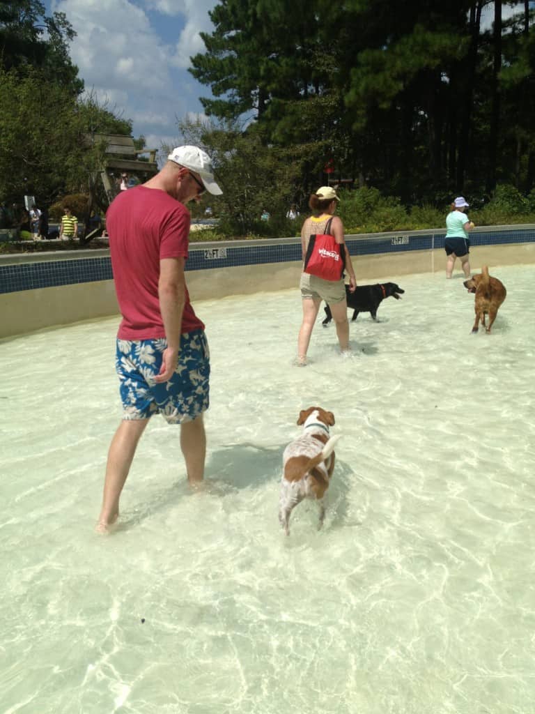 Dog Day at Whirlin Waters - Charleston Crafted