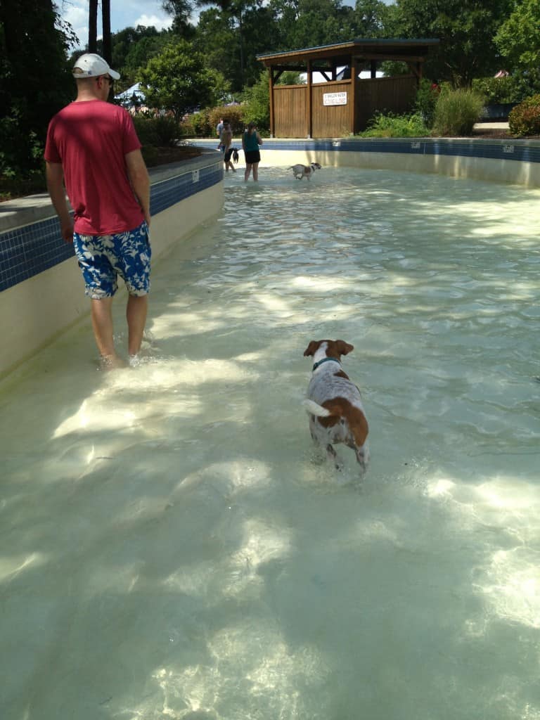 Dog Day at Whirlin Waters - Charleston Crafted