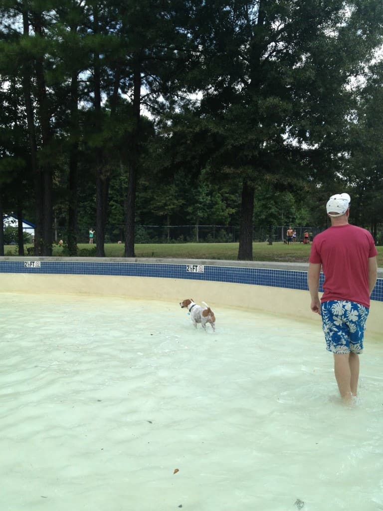 Dog Day at Whirlin Waters - Charleston Crafted