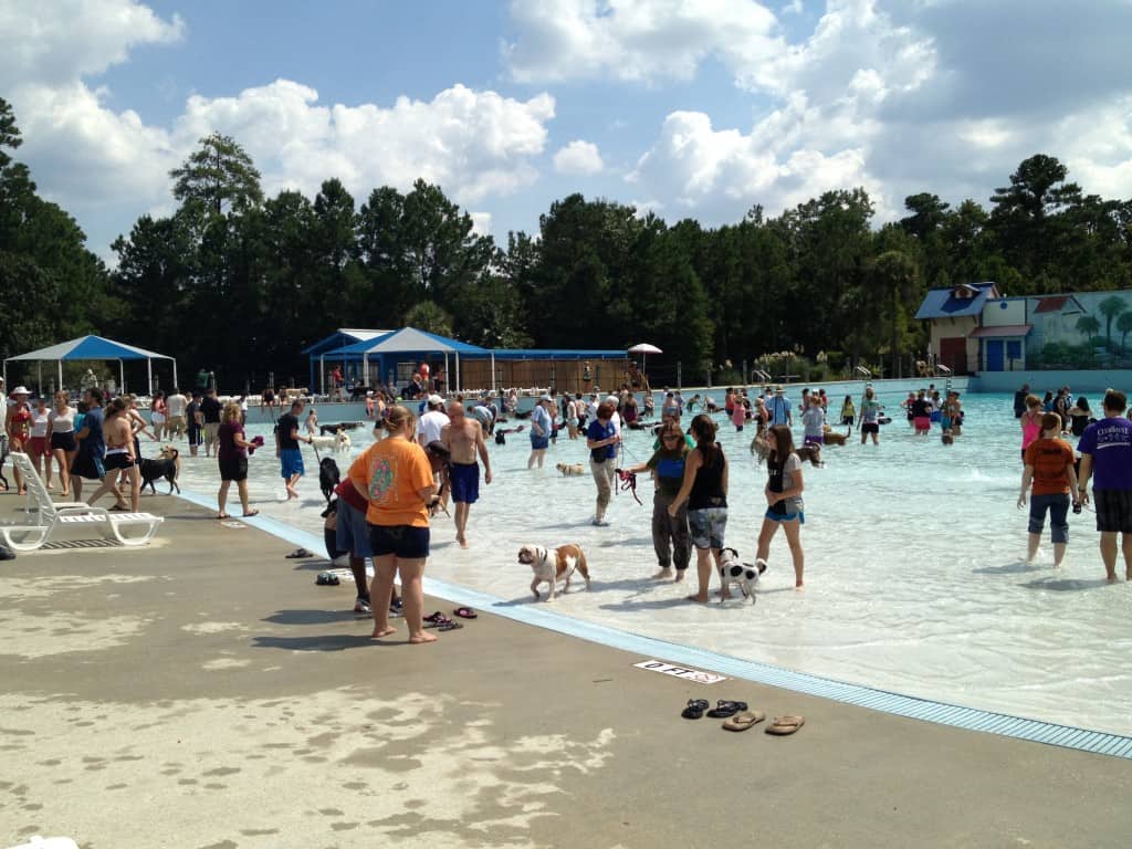 Dog Day at Whirlin Waters - Charleston Crafted