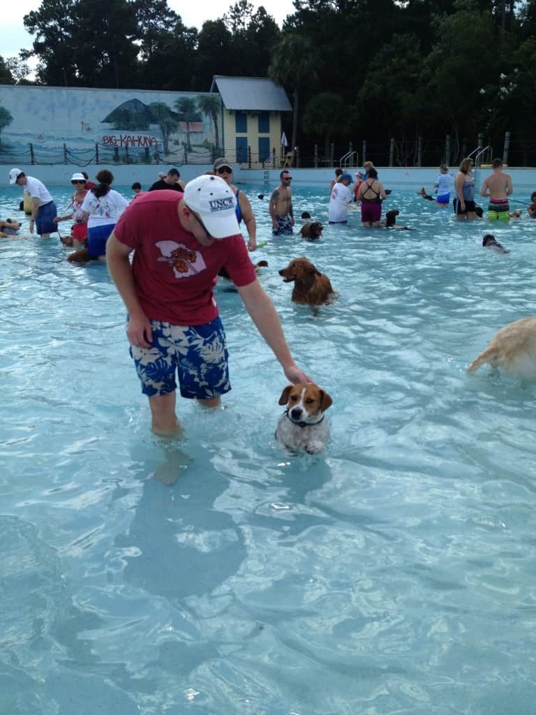 Dog Day at Whirlin Waters - Charleston Crafted