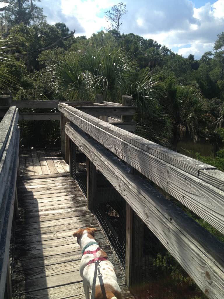 Palmetto Islands County Park - Charleston Crafted