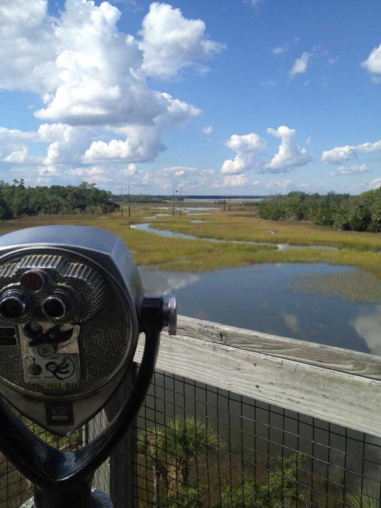 Palmetto Islands County Park - Charleston Crafted