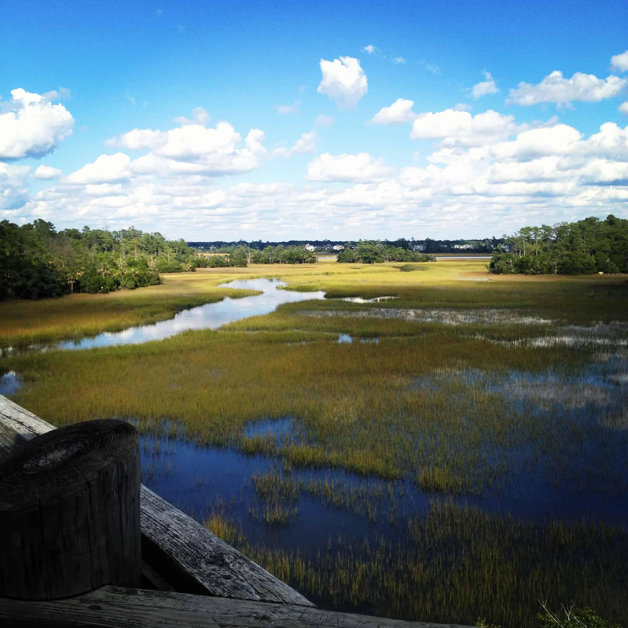 Palmetto Islands County Park - Charleston Crafted