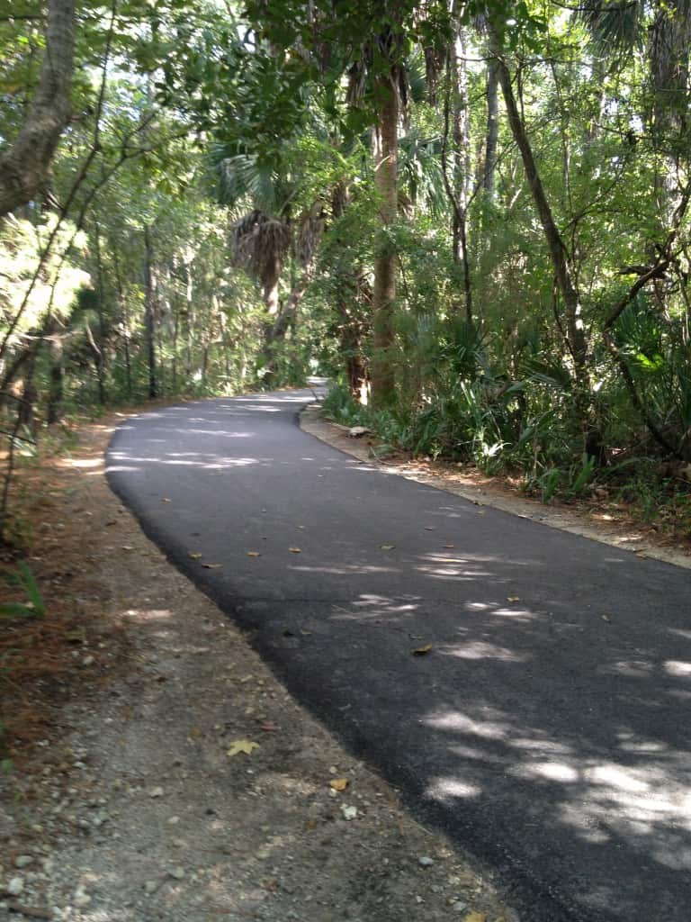 Palmetto Islands County Park - Charleston Crafted