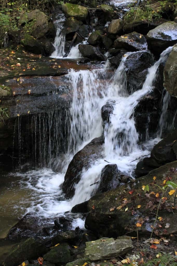 Amicalola Falls Trip - Charleston Crafted