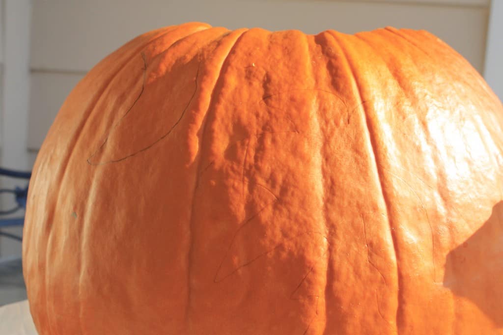 Carving Pumpkins - Charleston Crafted