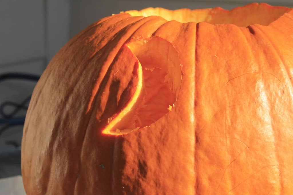 Carving Pumpkins - Charleston Crafted