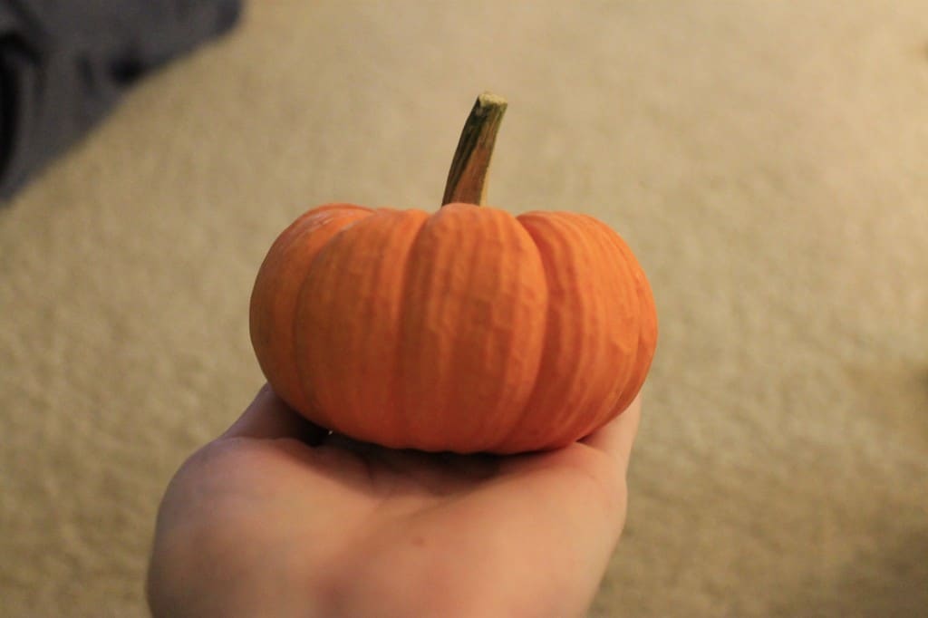 Draw on a pumpkin - charleston crafted