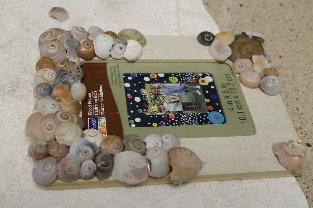 Sea Shell Frames & a Gallery Wall - Charleston Crafted