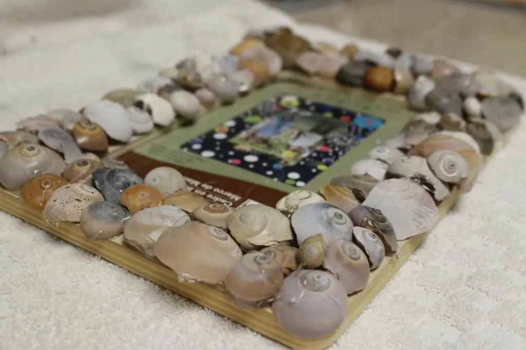 Sea Shell Frames & a Gallery Wall - Charleston Crafted