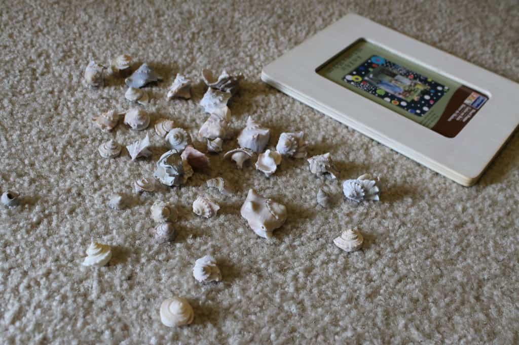 Sea Shell Frames & a Gallery Wall - Charleston Crafted