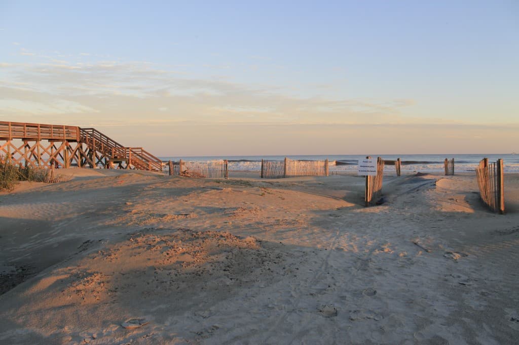 Folly Beach County Park - Charleston Crafted