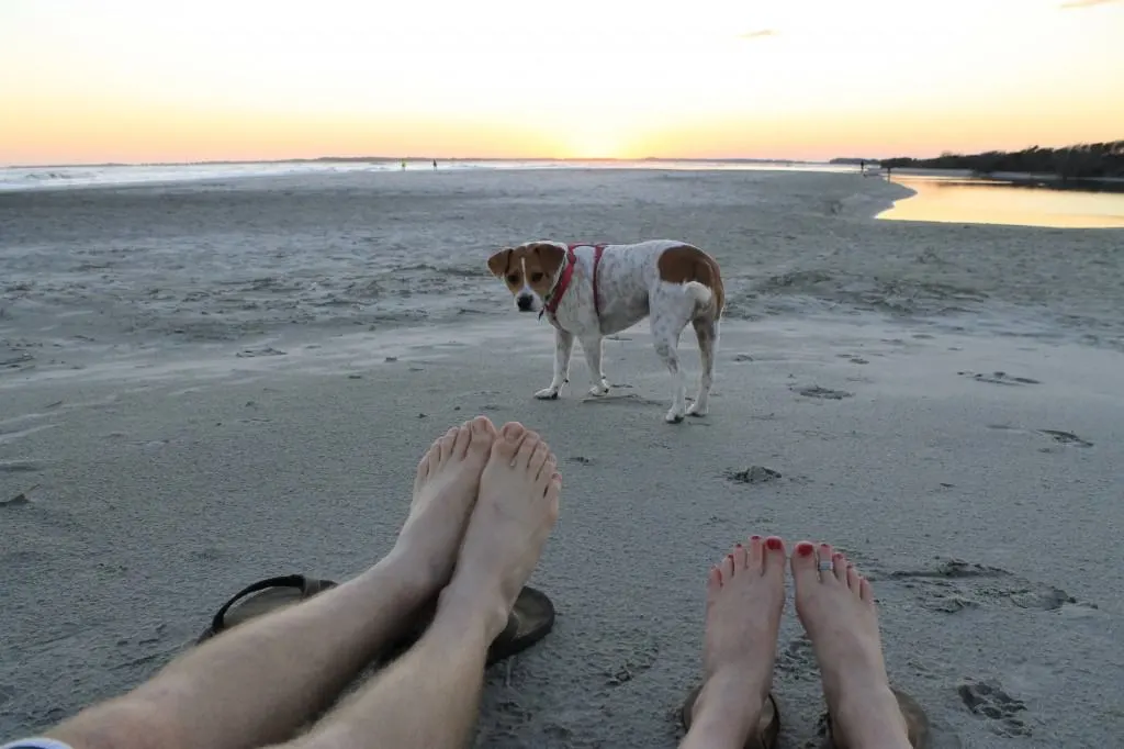 Walk on the beach at sunset - Charleston Crafted