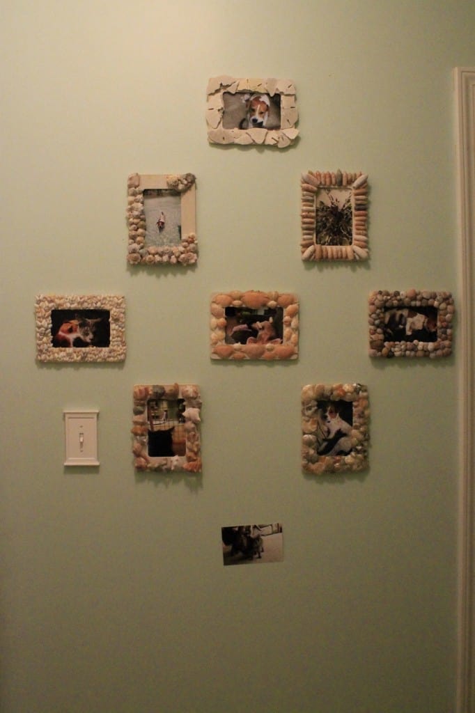 Sea Shell Frames & a Gallery Wall - Charleston Crafted