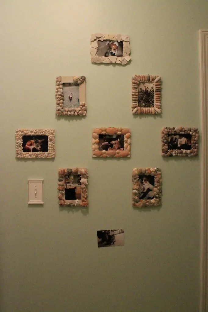 Sea Shell Frames & a Gallery Wall - Charleston Crafted