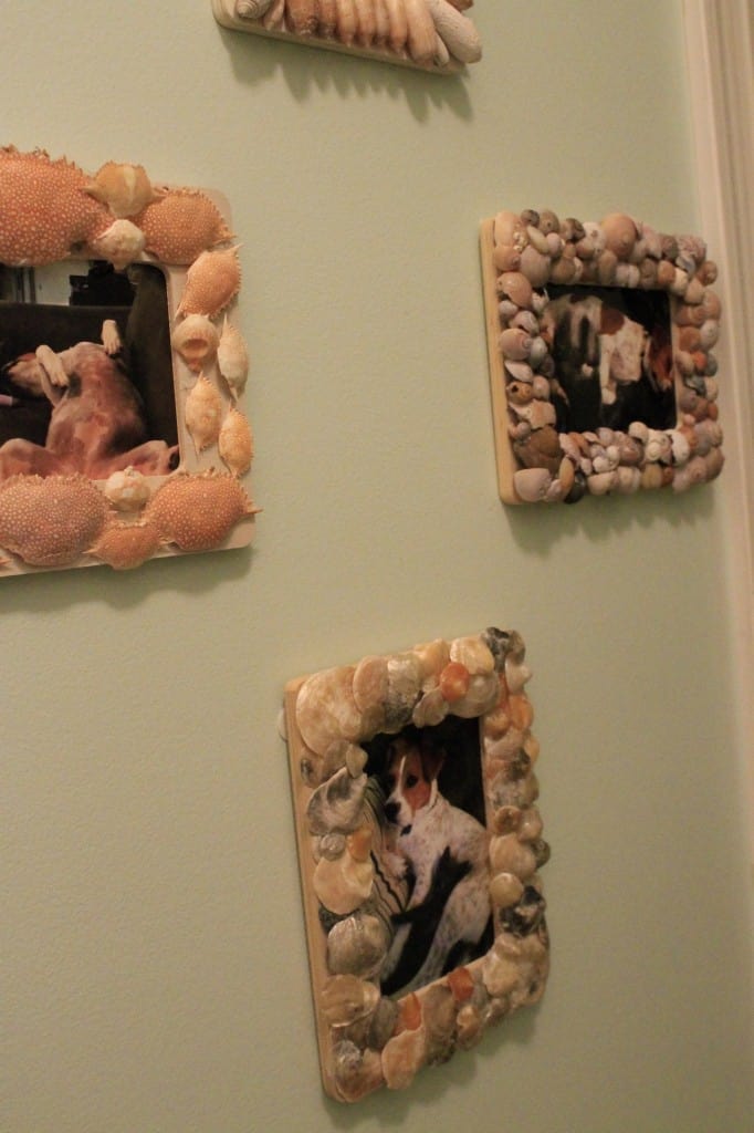 Sea Shell Frames & a Gallery Wall - Charleston Crafted