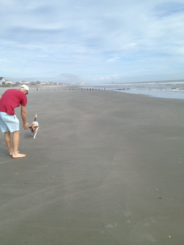 Folly Beach County Park - Charleston Crafted