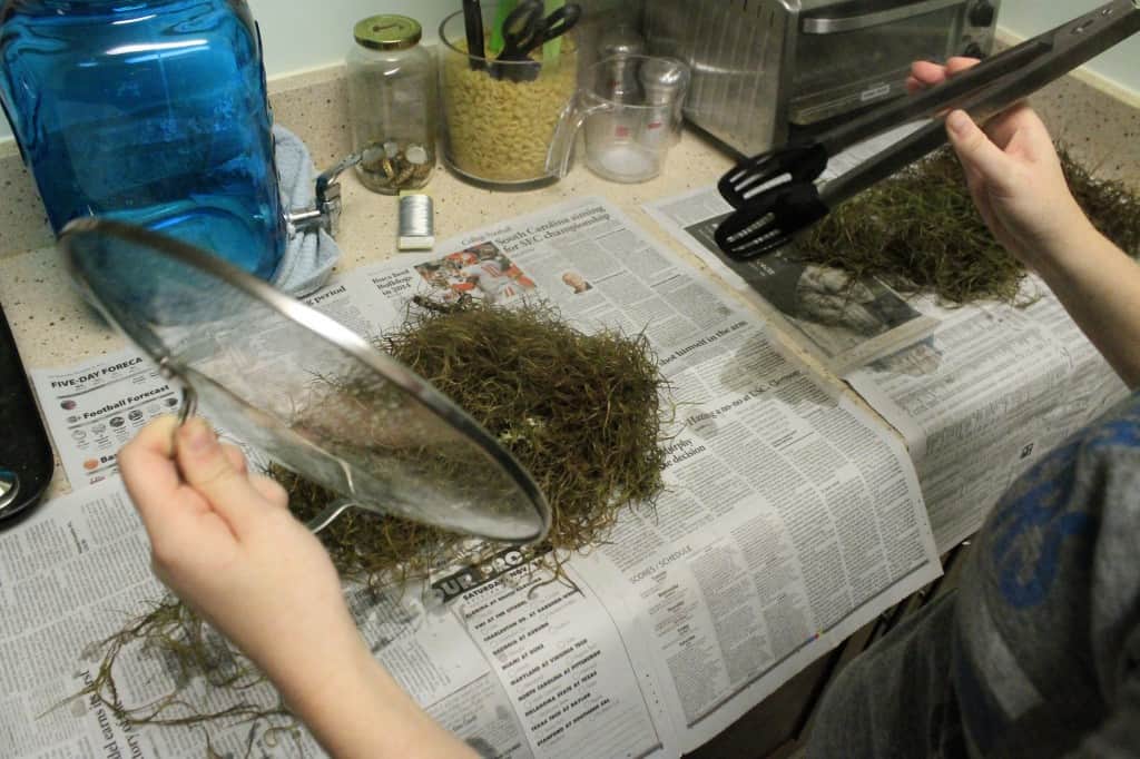 DIY Spanish Moss Coastal Christmas Wreath - Charleston Crafted