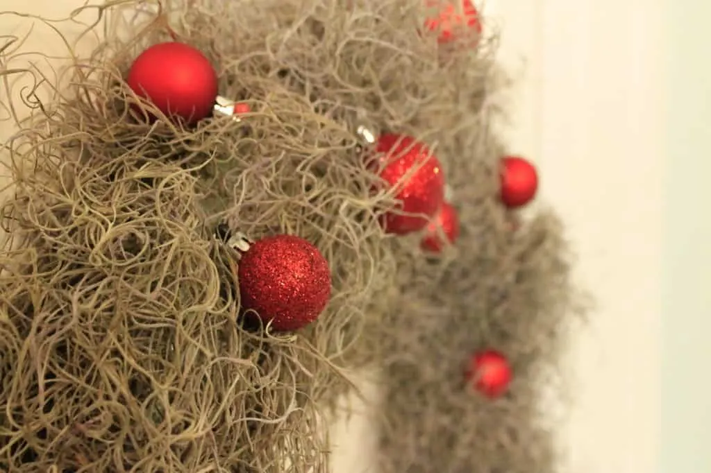 DIY Spanish Moss Coastal Christmas Wreath - Charleston Crafted