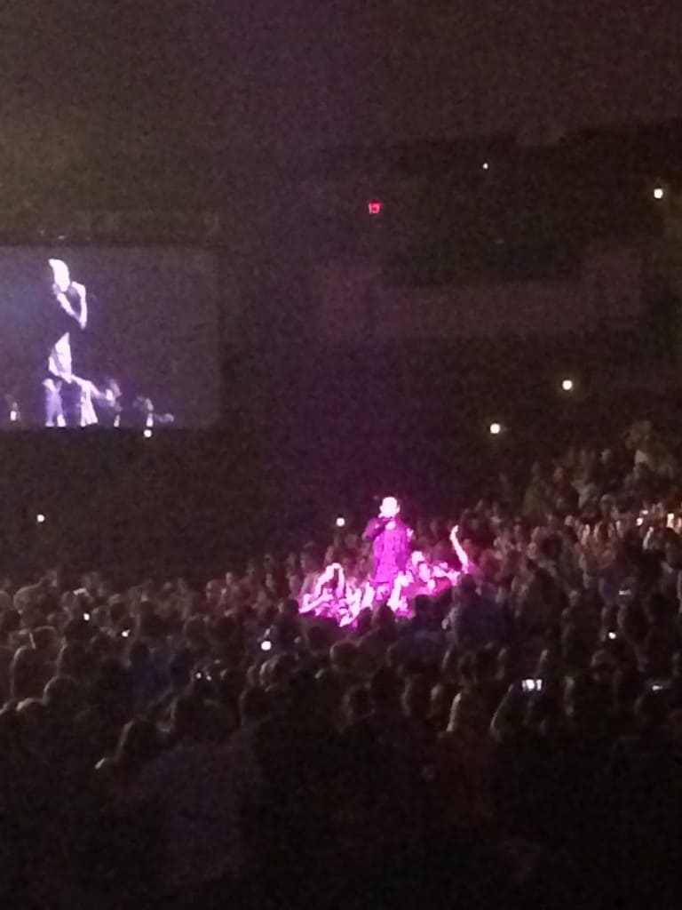 Jingle Bell Ball - Charleston Crafted