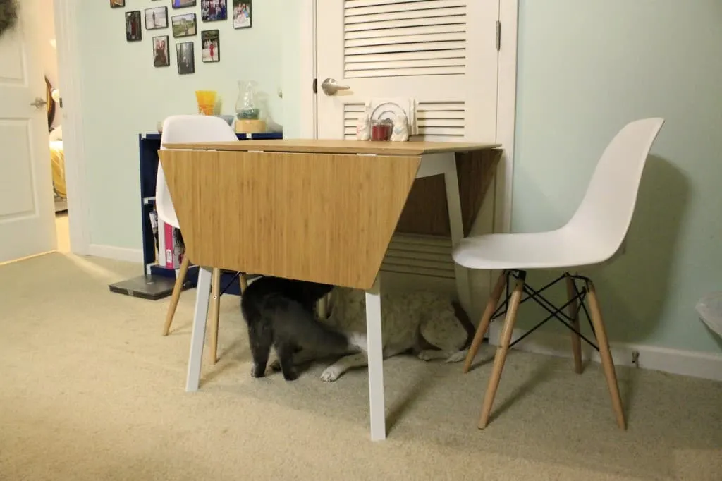 DIY Eames Knock off Chair Fail 