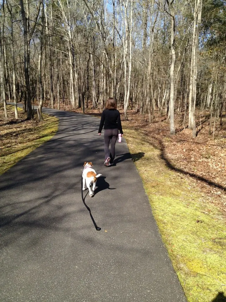 Wannamaker County Park - Charleston SC