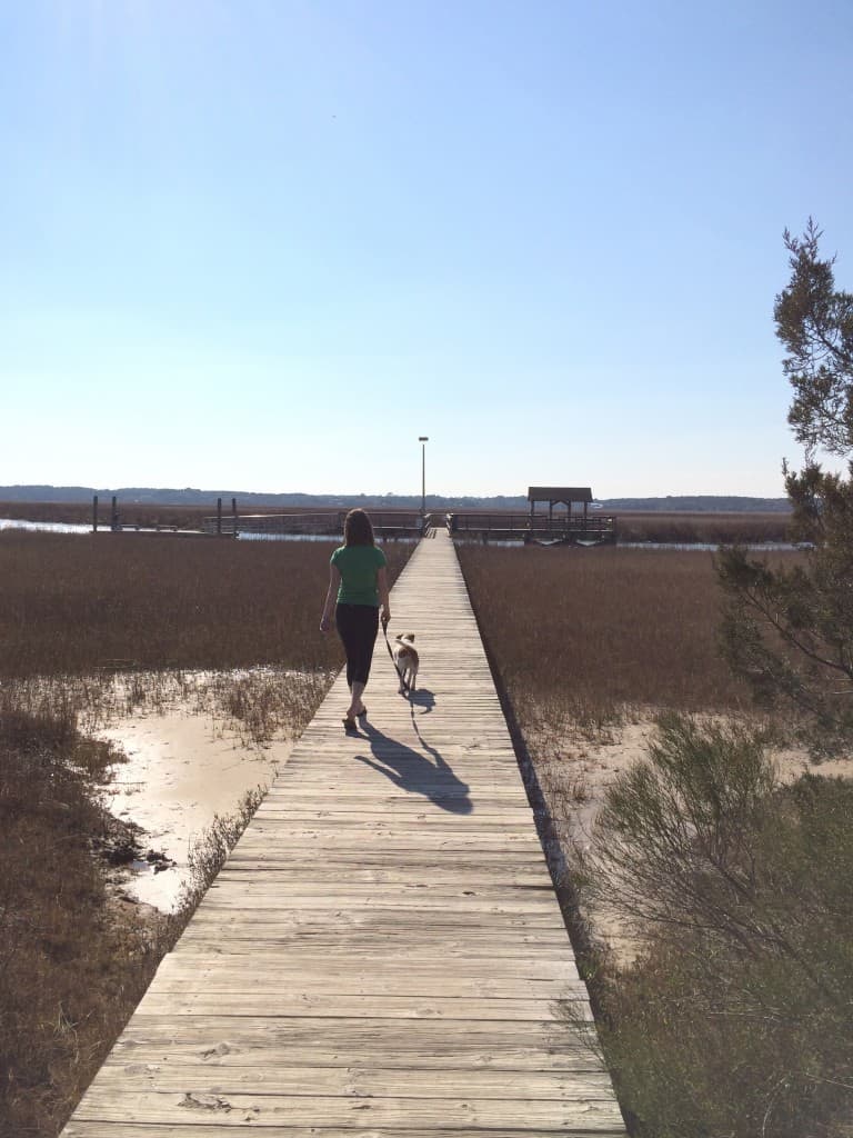 James Island County Park - Charleston Crafted