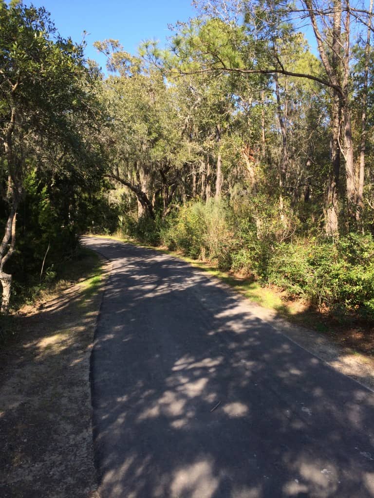 James Island County Park - Charleston Crafted