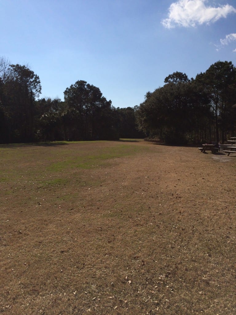 James Island County Park - Charleston Crafted