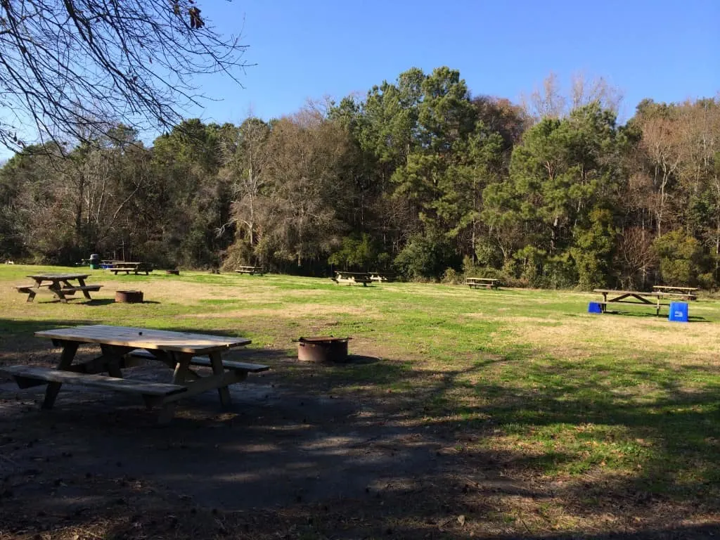 James Island County Park - Charleston Crafted