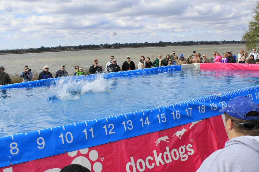 Dock Dogs at SEWE - Charleston Crafted