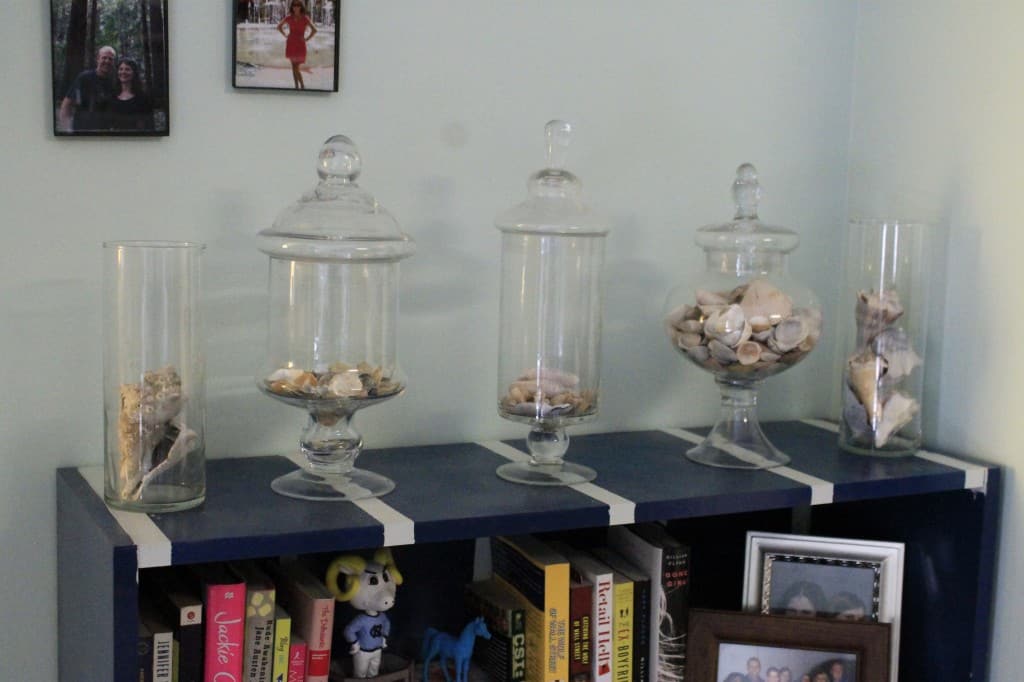 Seashell Display Shelf - Charleston Crafted